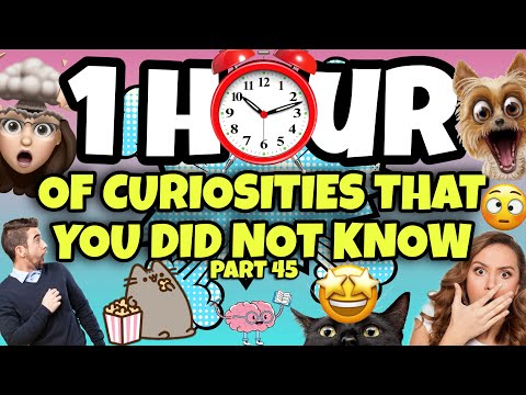1 HOUR OF CURIOSITIES AND THINGS YOU DIDN'T KNOW 🧠⏰ #45