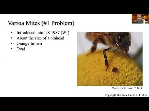 Lecture 12: Pests and Pathogens of Honey Bees