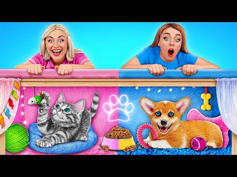 Secret Rooms For Pets by Multi DO Challenge