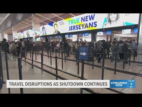 Airline CEOs urge Congress to fund TSA amid partial government shutdown