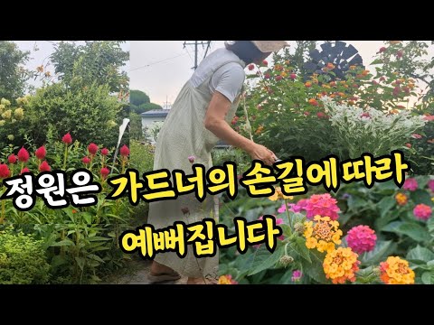 정원은 가드너의 손길에 따라 예뻐집니다,#6. 사랑초구근 5종 나눔,나리온 전동가위 사용후기.