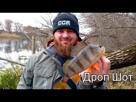 Дроп Шот на окуня