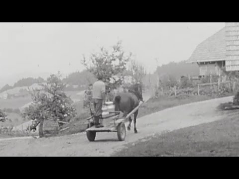 Emmental Cheese (1963) | SRF Archive