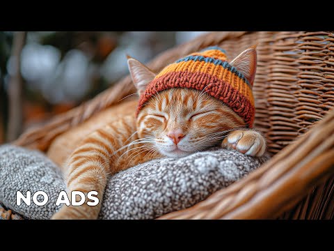 12 Hours Of Music For Cat to Fall Into Deep Sleep🐈 Stress Relief💤 Heal Stress For Cat Soothing Piano