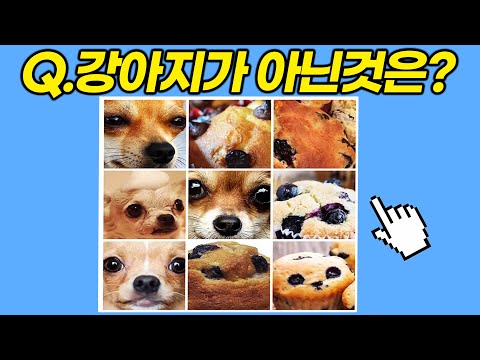 전세계 2%만 풀수있는 관찰력게임ㅋㅋㅋㅋ아