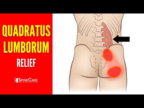 How to INSTANTLY Relieve Quadratus Lumborum Pain