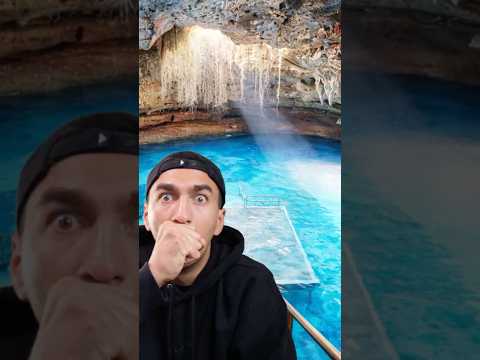 Only in Florida, Blue Water + Green Forest…