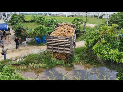 Started A New Project!Per dayCompleted100% ByDump Truck Fill Land,ExpertSkill bulldozer Pushing Soil