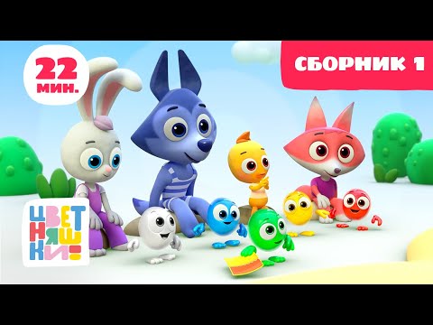 Цветняшки — Сборник 1: знакомство с персонажами (серии 1-5 подряд)