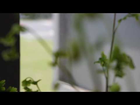 Pentax K-x 720p video demo