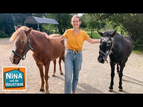 Ein Tag auf dem Gnadenhof | Information für Kinder | Nina und die Haustiere | Spezial