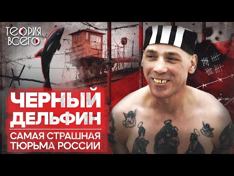 Колония «Черный дельфин» / Как содержат самых опасных преступников / Тру-крайм | Теория Всего