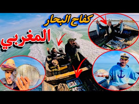 العثور👀على جثث حوت🐋 يصل وزنه 100طن😱صيد في أعماق البحر حصيلة متنوعة 🚣‍♂️🐟🦈🐠