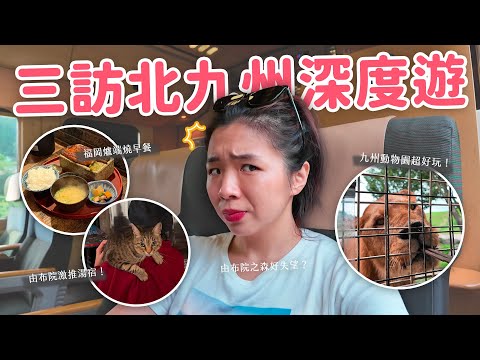 【九州旅遊】（下） 由布院、別府、福岡美食精選✨ 不愧是日本童話小鎮🇯🇵 平價溫泉飯店｜福岡人氣麵包店｜超頂海鮮居酒屋🍣