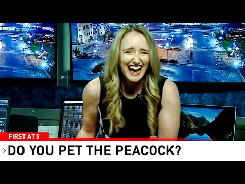 Best News Bloopers April 2024