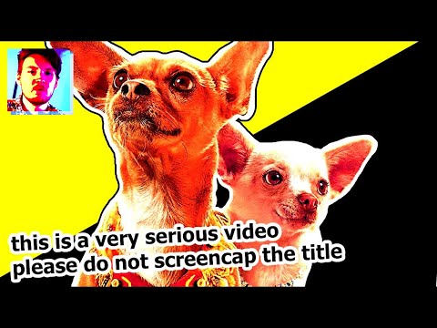 The Political Implications Of Talking Dog Movies