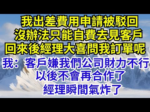 我出差費用申請被駁回，沒辦法只能自費去見客戶，回來後經理大喜問我訂單呢，我笑著說：客戶嫌我們公司財力不行，以後不會合作了，經理瞬間氣炸#故事分享 #故事頻道#故事 #情感故事 #情感 #故事 #奇聞