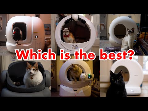 Which Are The BEST Self-Cleaning Litter Boxes?