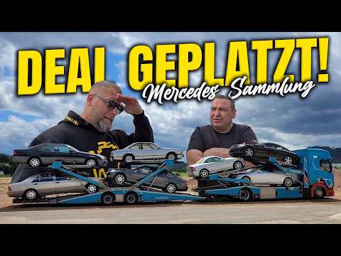 PREISKAMPF mit @LevellaGmbH!! Young- und Oldtimer zum schmalen Kurs!! Aber PROBLEME vorprogrammiert!