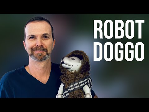 Can You Love A Robot Dog? - 14 Days with Sony AIBO