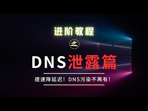 【进阶•DNS泄漏篇】竟能提速降延迟！再也不用担心DNS污染了！90%以上的人都存在DNS泄露！会有什么安全问题？如何解决代理中的DNS泄漏问题？以及WebRTC绕过代理泄漏本机真实IP，看完就知道了