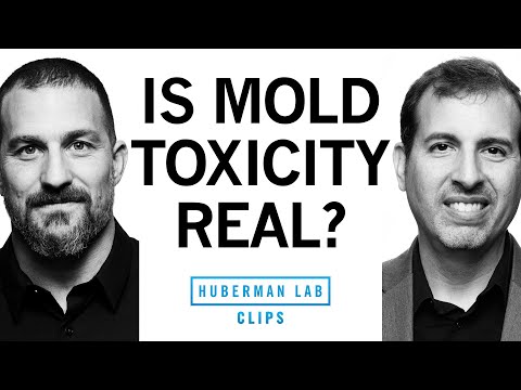 Mold Toxicity: Signs, Symptoms, & Treatment | Dr. Roger Seheult & Dr. Andrew Huberman