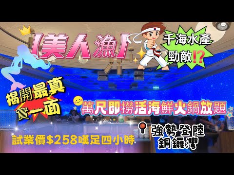 美人漁🟰千海水產勁敵⁉️試業價$258嘆足四小時🧐揭開真實一面｜沖擊壟斷市場❓️｜全港首間沉浸式🤔即撈活海鮮火鍋放題｜即燒生蠔、鱔｜即制甜品梳乎厘、烤榴槤｜#銅鑼灣｜#利舞臺｜#自費食評｜#自費分享