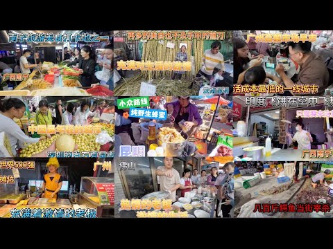 从中国的南边到北边，从东边到西边，小半个中国的美食之旅，从当街卖鳄鱼到驴打滚，从一碗阳春面到羊肉米线，滋味的不同，也就是特色的不同