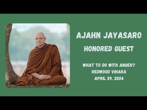 Ajahn Jayasaro  - What to do with anger?