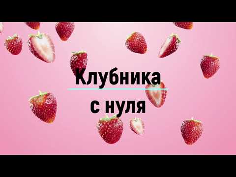 Выращивание клубники в малообъемке!!! С чего начинали...