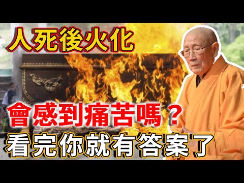 人死後火化，會感到痛苦嗎？肉身不在了，靈魂會去哪里？高僧一語道破天機！ |禪語