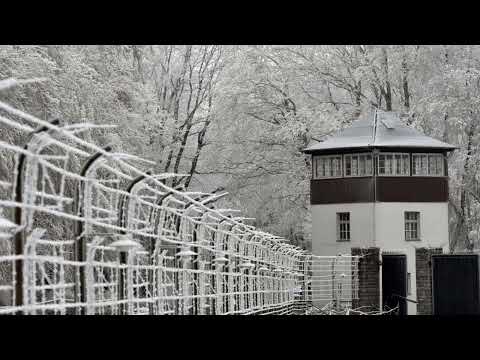 The Camp That Turned Children Into Experiments