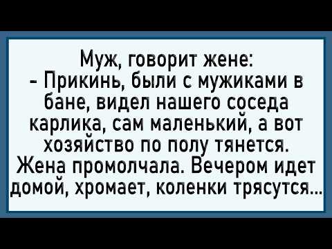 Как жена к соседу карлику бегала! Сборник свежих анекдотов! Юмор!