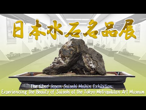 The 62nd Japan Suiseki Meihin Exhibition: Experiencing the Beauty of Suiseki at an art museum