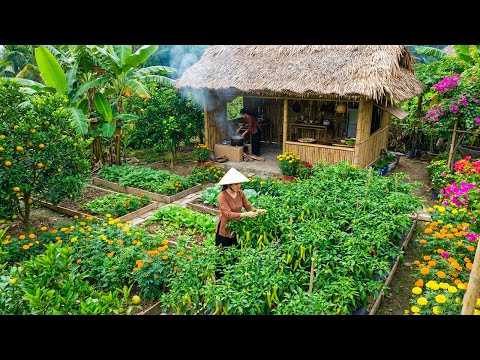 Country Life: Harvesting Fresh Green Chillies and Cooking Delicious Salt-Grilled Chili Chicken