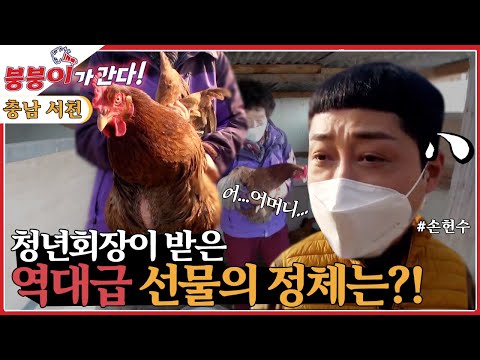 [붕붕이가 간다!] 한파에는 붕붕이 주의보 [6시 내고향] | KBS 211213 방송