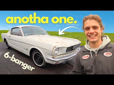 Rescuing A '66 Mustang FASTBACK After Sitting 40+ Years! (Vanilla Bean)
