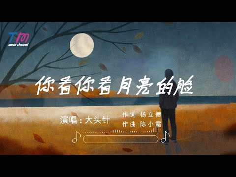 大头针 - 你看你看月亮的脸 (烟嗓男版) 『月亮的脸偷偷的在改变 圆圆的圆圆的月亮的脸』【高質音樂 / 拼音動態歌詞】
