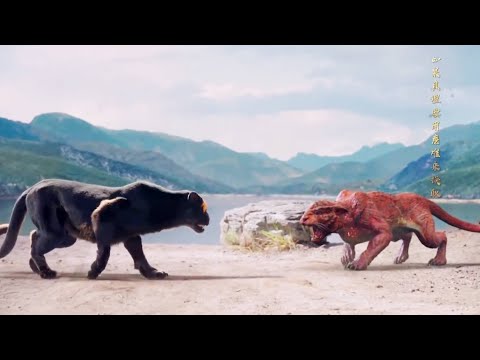 Kung fu boy was eaten by black panther, the fire python tiger he saved protected him!