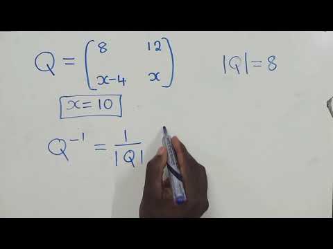 Matrix, find x and inverse