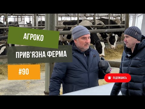 #90 Бізнес на коровах 🐄. Привʼязна ферма, телята, комбікормовий завод.
