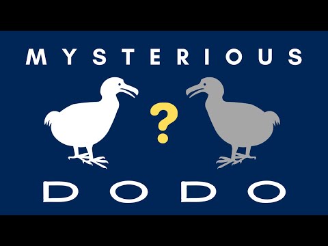 5 Mysteries of the Dodo Finally Solved - Appearance, Name, Extinction, Taxonomy, White Dodo