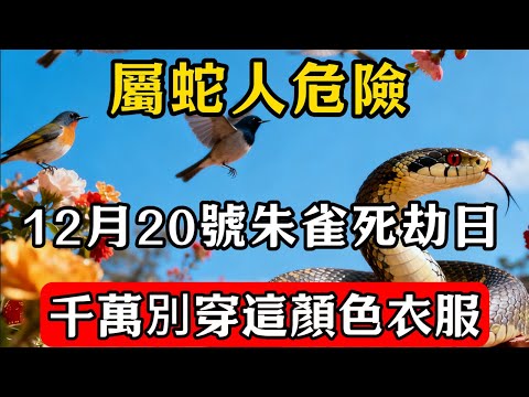 生肖蛇必看！明天12月20號「朱雀死劫日」，這天千萬別穿這顏色衣服，否則容易招黴運，家人需註意安全！#佛教 #佛家 #佛法 #佛學知識 #佛學智慧 #修心修行 #佛教文化 #禪悟人生#傳統文化