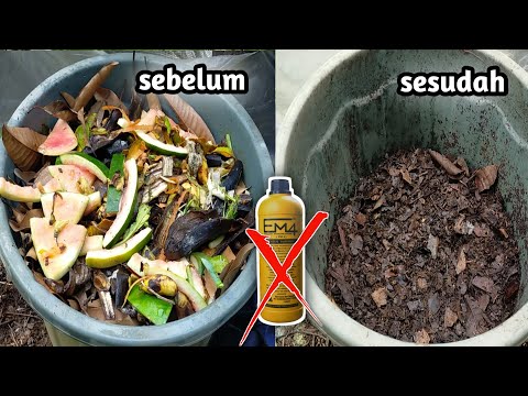 stop throwing away your kitchen waste ||  Do this method so you can make compost without EM4