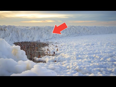 "70 Most Unbelievable Nature Moments Ever Caught on Camera"