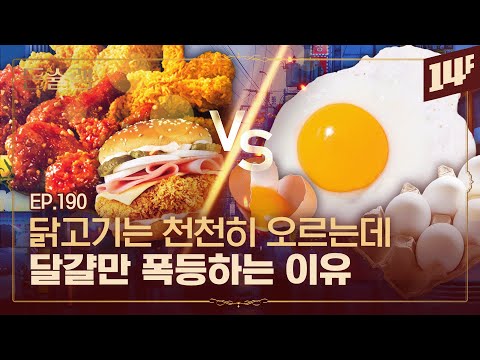 가성비 음식들이 사라지고 있다🥄ㅣ돈슐랭 / 14F