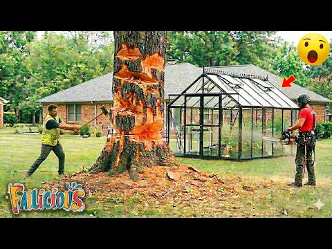 TOTAL IDIOTS AT WORK | Instant Regret Fails Compilation 2026 | Try not to laugh 😂 #11