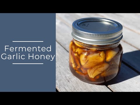 Boost Your Health with Fermented Garlic Honey