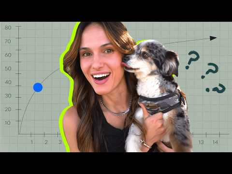 Can My Dog Live 80 Years?