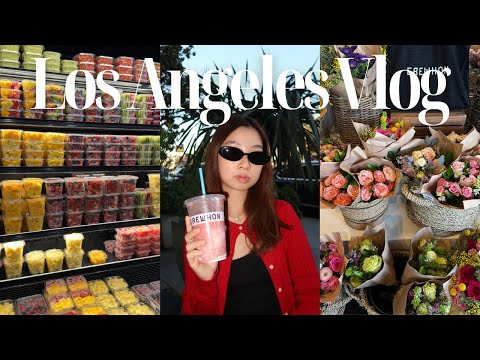 LOS ANGELES VLOG | a day in the life